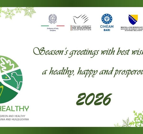 Season's greetings