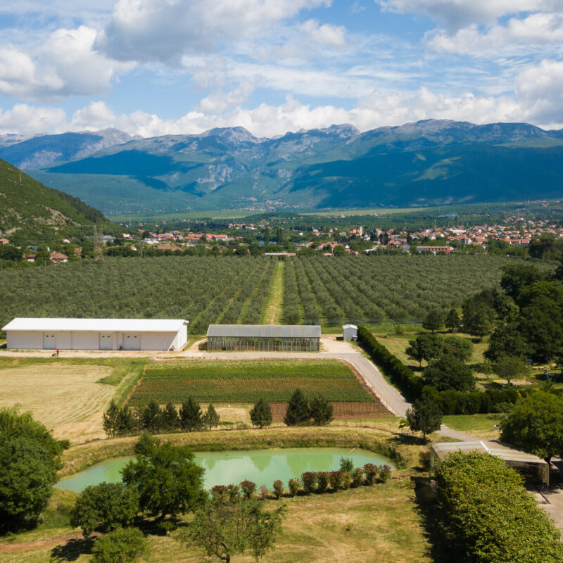 Paxa Dola d.o.o. gallery 1