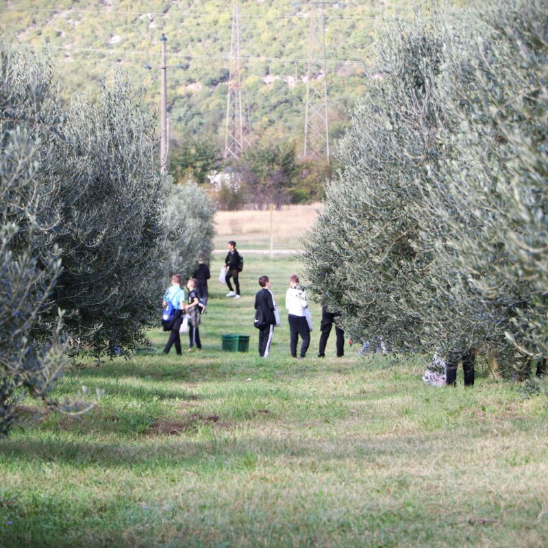 Paxa Dola d.o.o. gallery 4