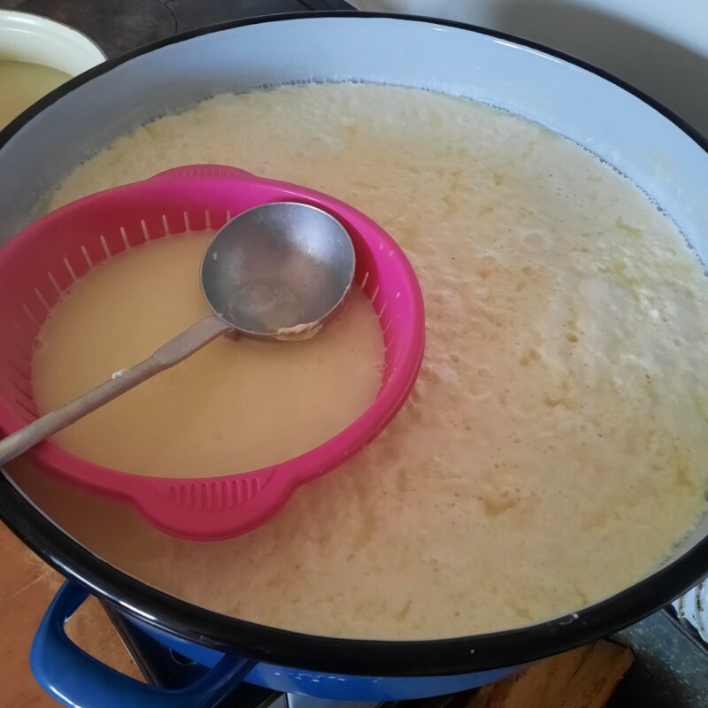 Gazdinstvo Govedarica gallery 4