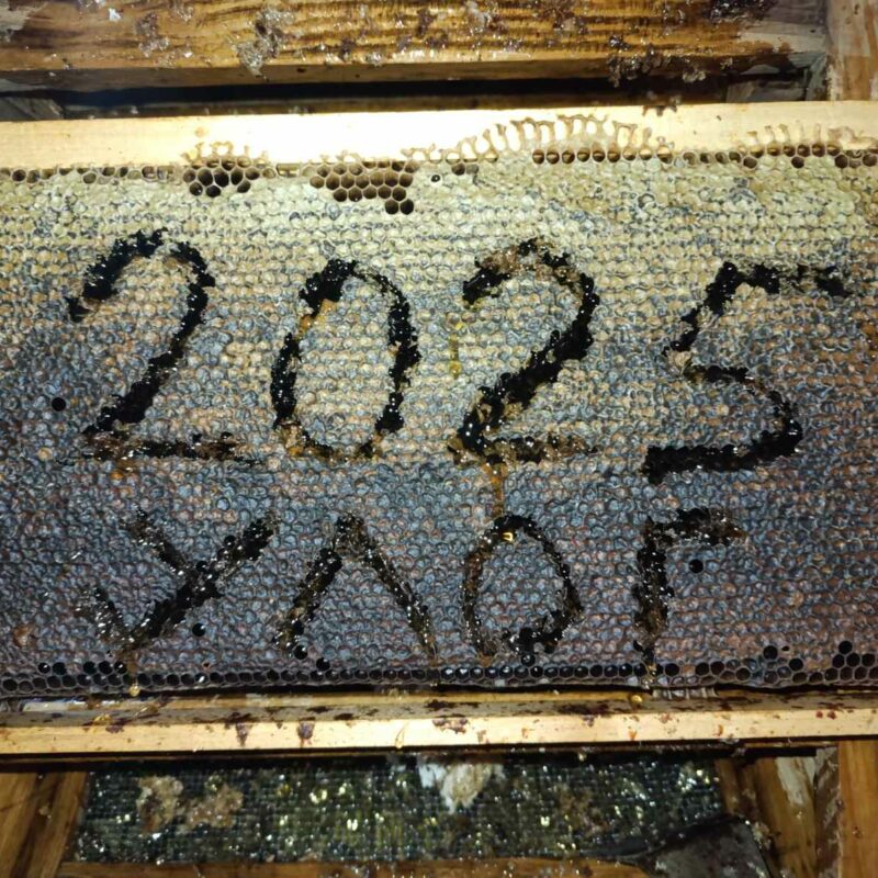 Gazdinstvo Milošević gallery 1