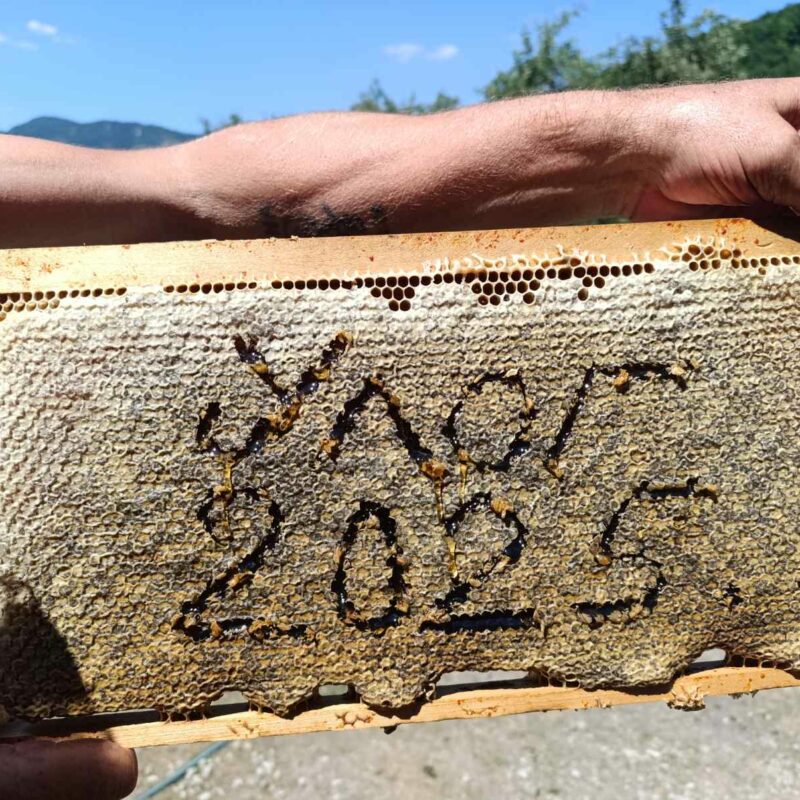 Gazdinstvo Milošević gallery 2