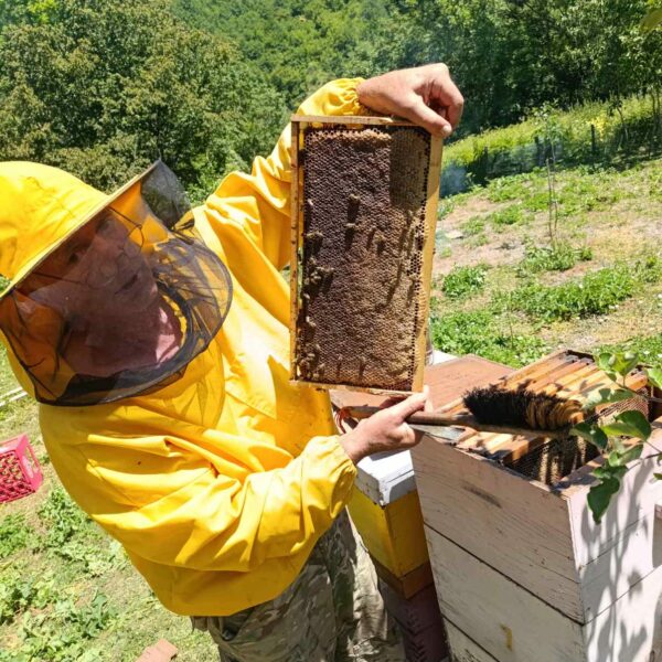 Hercegovači med 1kg