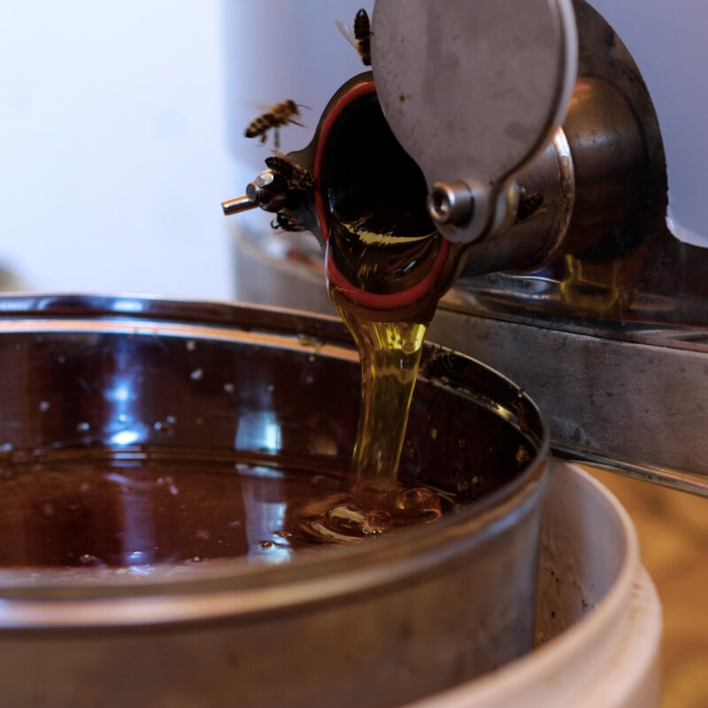 Gazdinstvo Stanko Bozalo gallery 1