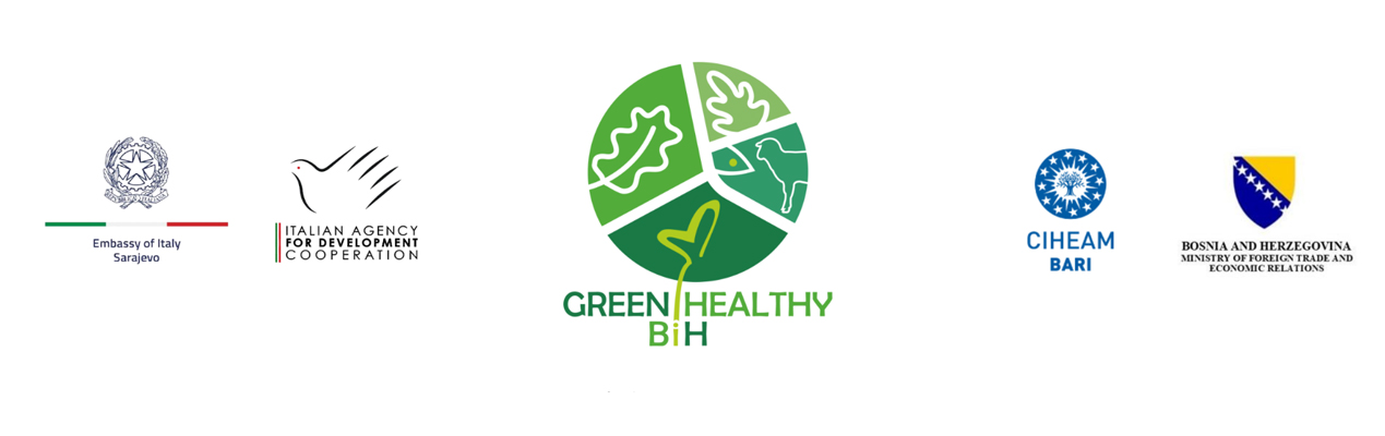 GREEN & HEALTHY project sponsors and partners