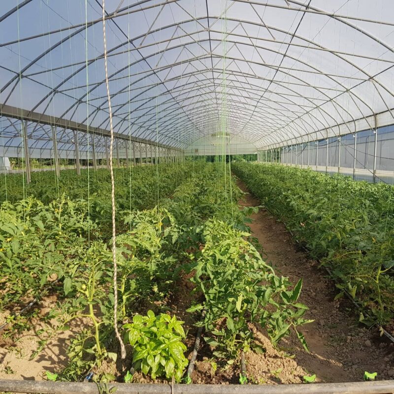 OPZ “AgroFood” gallery 1