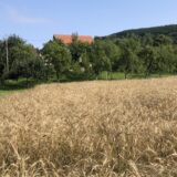 “BRK” Kneževo