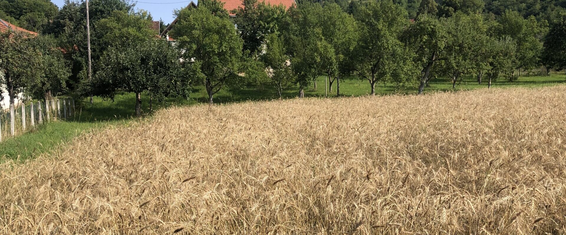 “BRK” Kneževo
