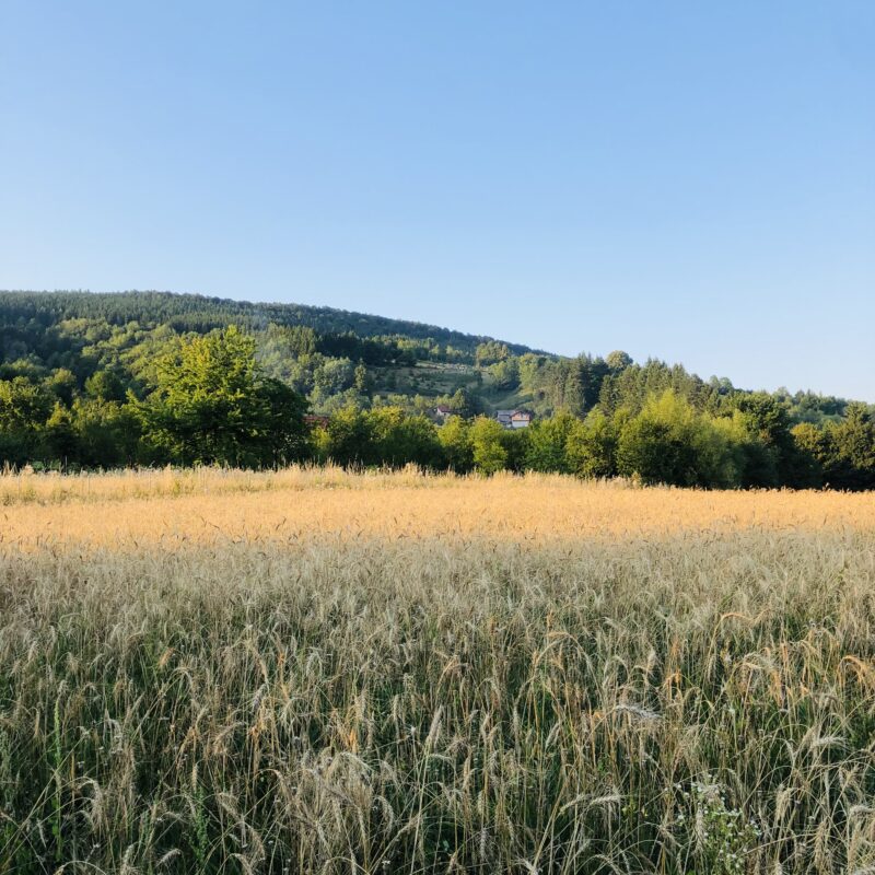 “BRK” Kneževo gallery 6