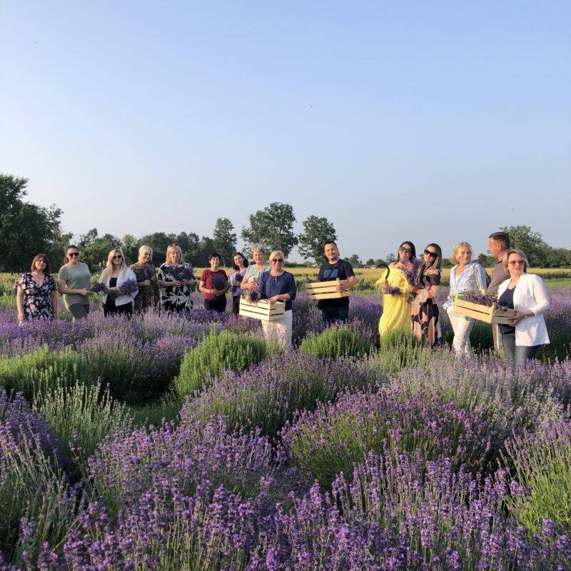 Lavanda Semberija gallery 1