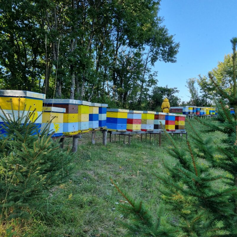 Kalinovačka kuća gallery 12