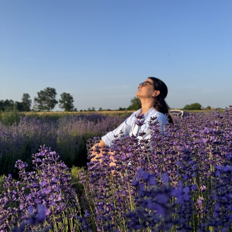 Lavanda Semberija gallery 2