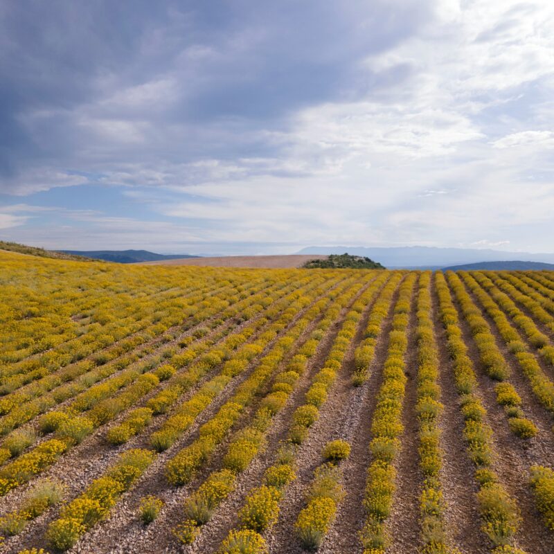 Agro Herc Organic gallery 6