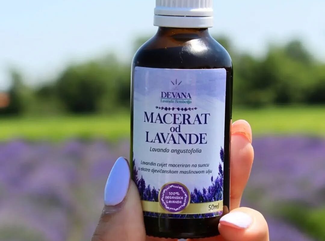 Lavanda MACERAT
