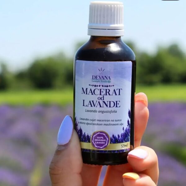 Lavanda MACERAT