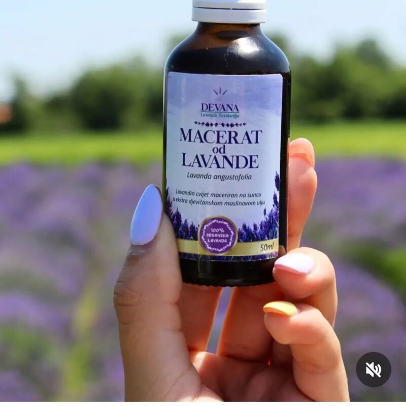 Lavanda Semberija gallery 13