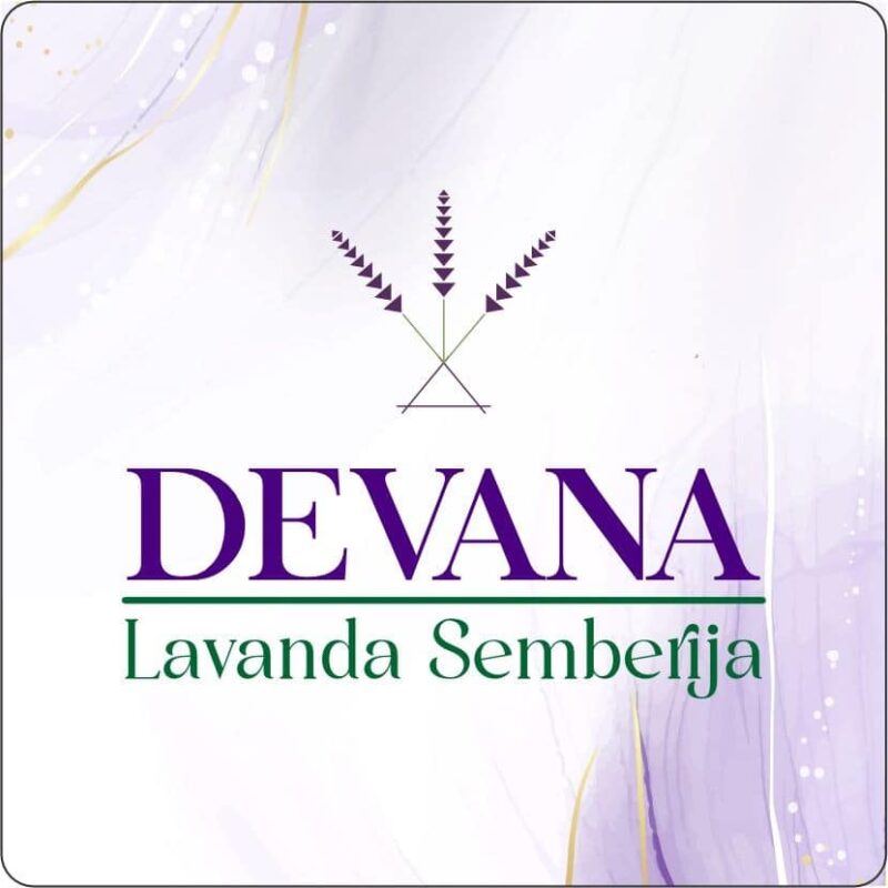 Lavanda Semberija gallery 28