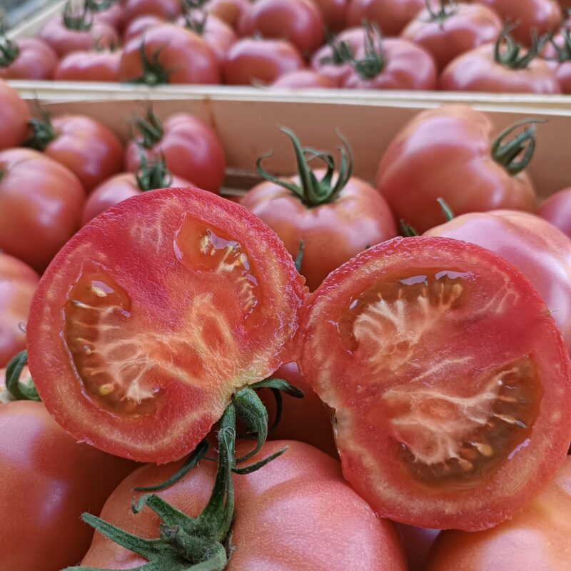 OPZ “AgroFood” gallery 7