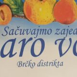 Voćni klub