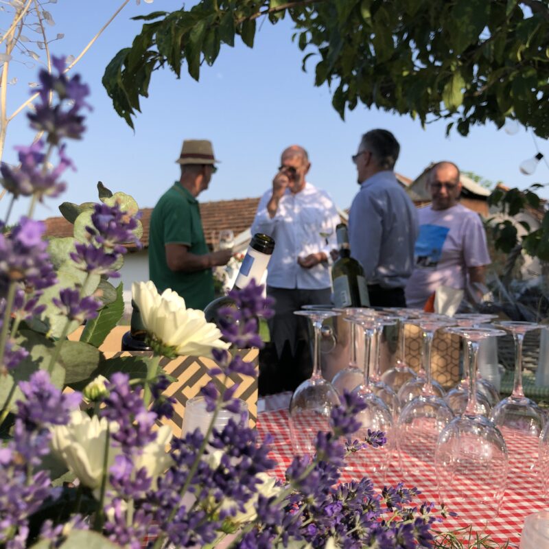 Lavanda Semberija gallery 3