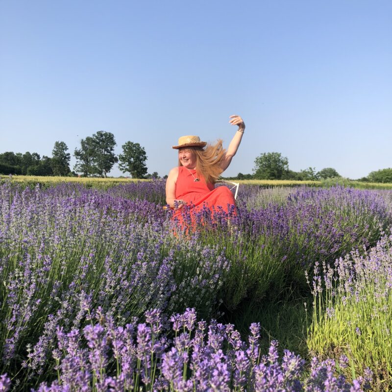Lavanda Semberija gallery 4