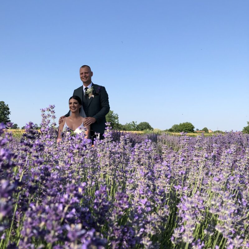 Lavanda Semberija gallery 5