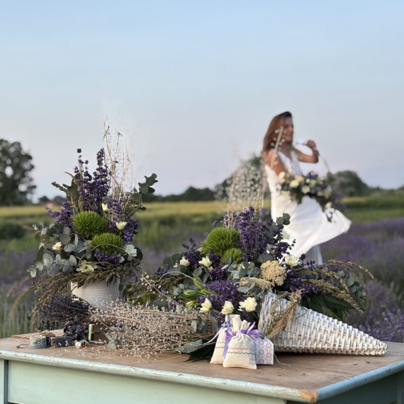 Lavanda Semberija gallery 7