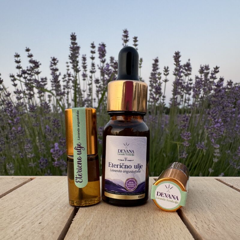 Lavanda Semberija gallery 32