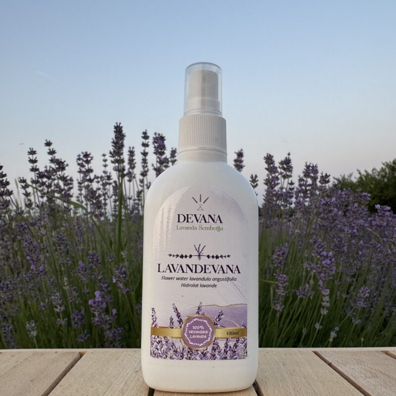 Lavanda Semberija gallery 33