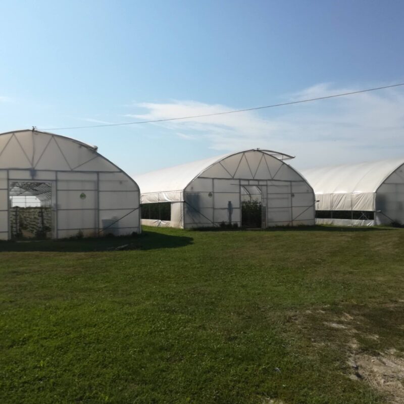 Agro – Plan d.o.o. gallery 7