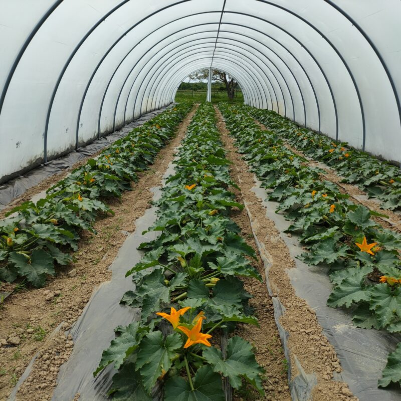 Agro – Plan d.o.o. gallery 10