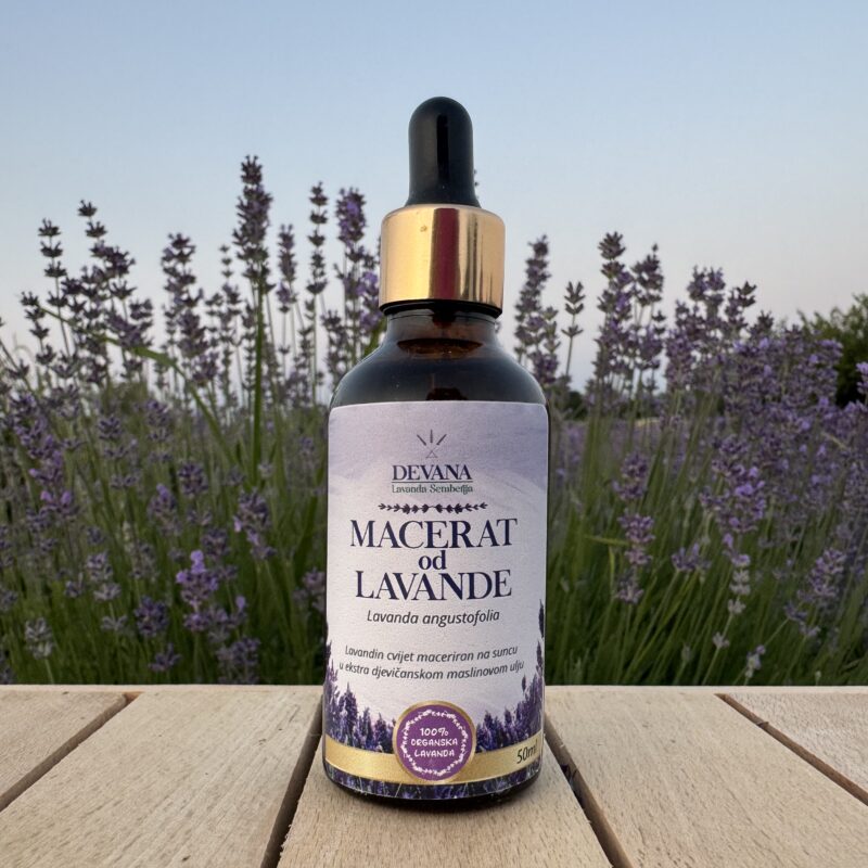 Lavanda Semberija gallery 35