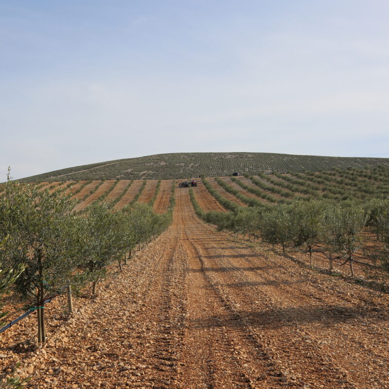 Agro Herc Organic gallery 20