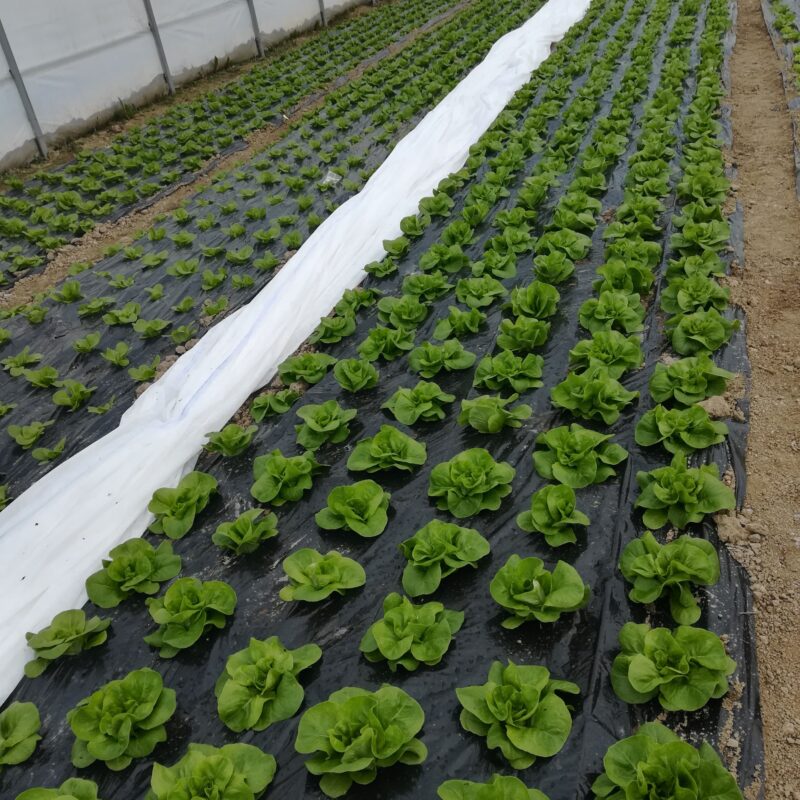 Agro – Plan d.o.o. gallery 24